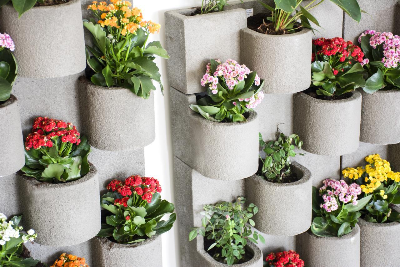 Radisson Blu Resort, Al Khobar Half Moon Bay Exterior photo Vertical garden